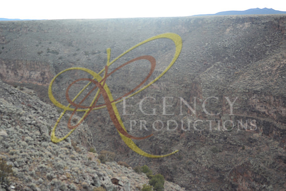 New Mexico149