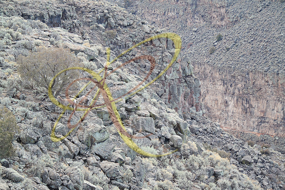 New Mexico181