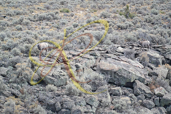 New Mexico169