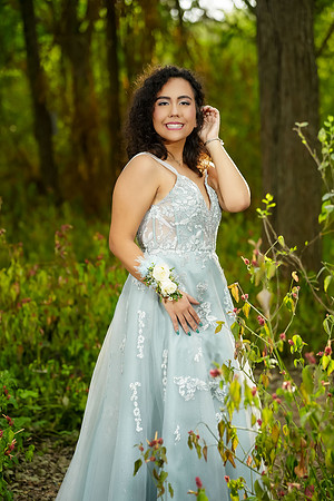 PROM-17