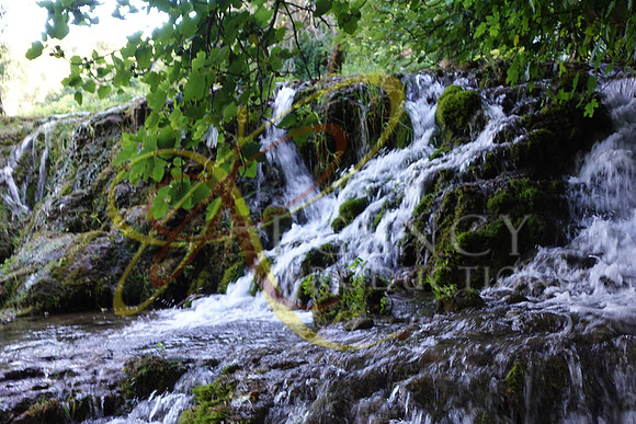 DSC00354