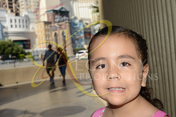 J12_3919