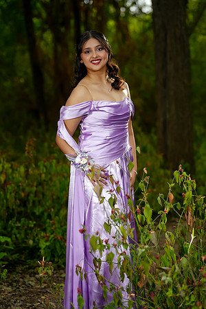 PROM-63