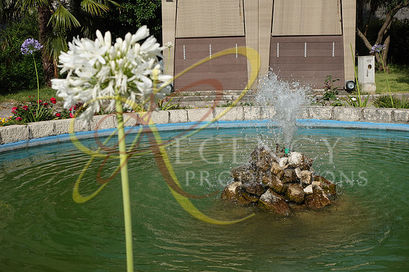 DSC00300