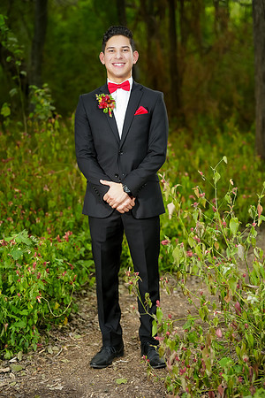 PROM-86