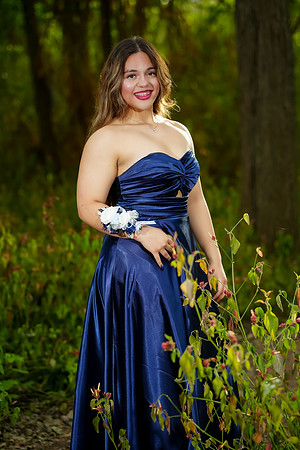 PROM-30