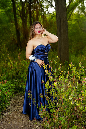 PROM-35