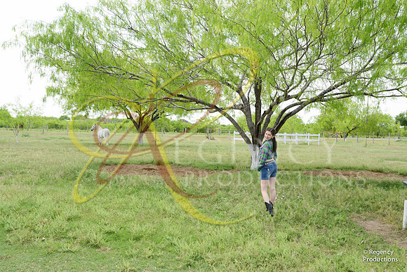 J12_1227