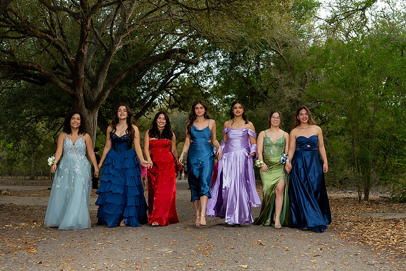 PROM-233