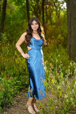 PROM-54