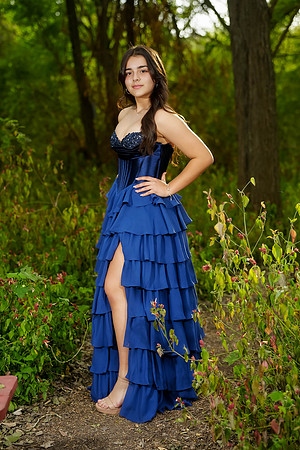 PROM-27