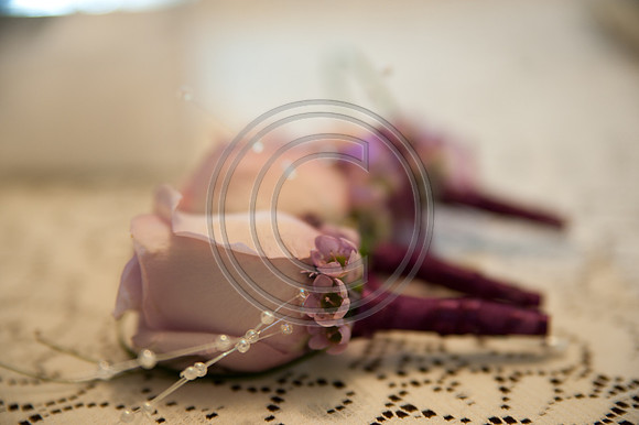 LJC_0768