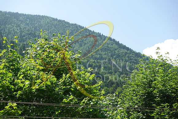 DSC00183