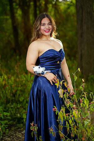 PROM-31