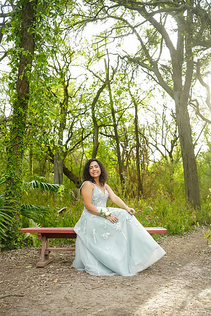 PROM-1