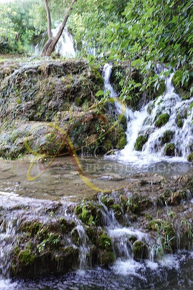 DSC00355