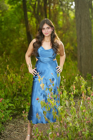 PROM-60