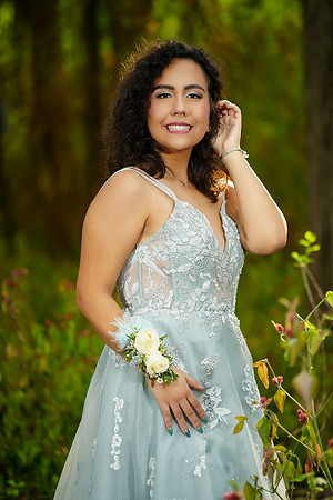 PROM-19
