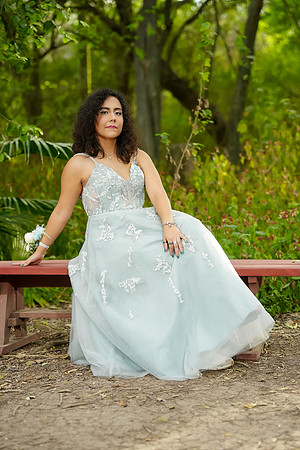 PROM-10